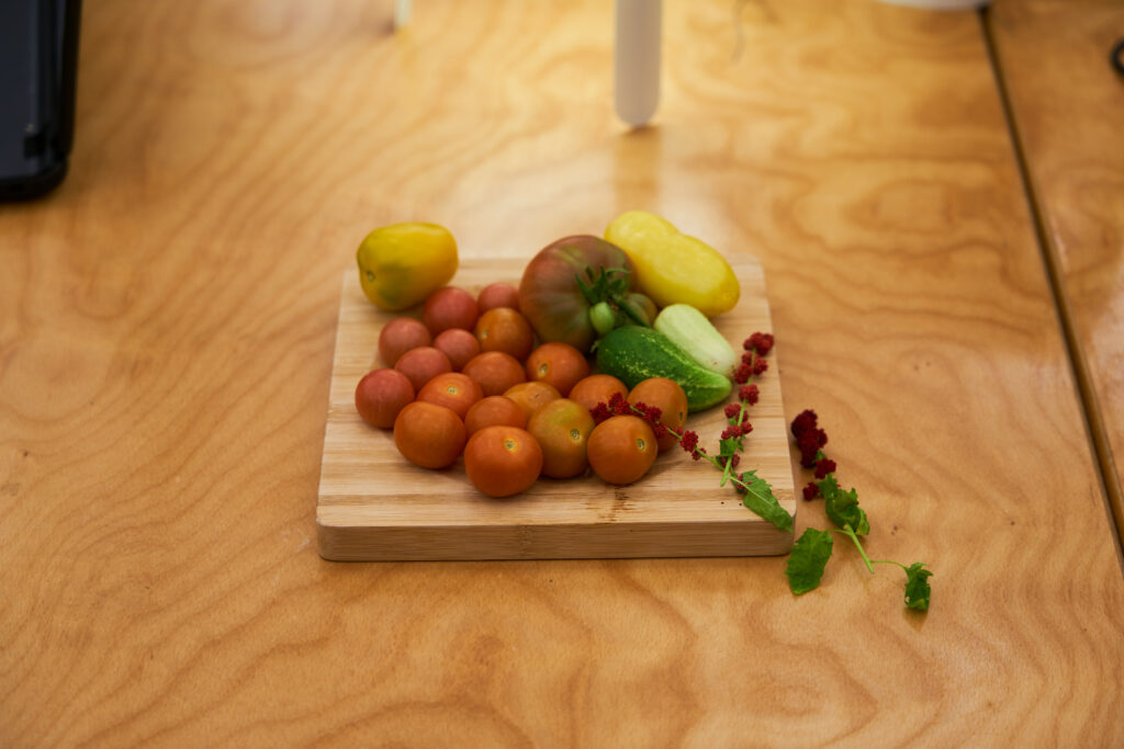 Frisch gepflücktes Gemüse aus dem Garten wird auf einer Holzschale präsentiert. Dabei sind Cheiro Roxa, Tomaten, Physalis, Erdbeerspinat, Paprike und Mini-Auberginen.
