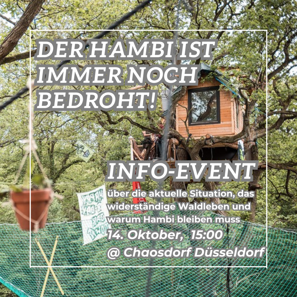 Sharepic: Der Hambi ist immer noch bedroht! Info-Event über die aktuelle Situation, das widerständige Waldleben und warum Hambi bleiben muss. 14. Oktober, 15:00 @ Chaosdorf Düsseldorf